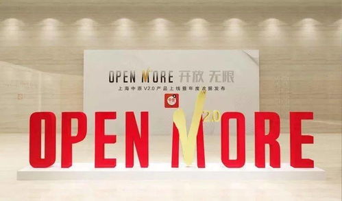 房產(chǎn)經(jīng)紀(jì)人真的能賺這么多錢(qián)么 能 真的能