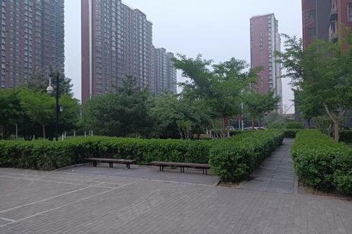 八家嘉園優(yōu)點(diǎn) 不足,八家嘉園怎么樣,八家嘉園周邊房產(chǎn)中介經(jīng)紀(jì)人評價